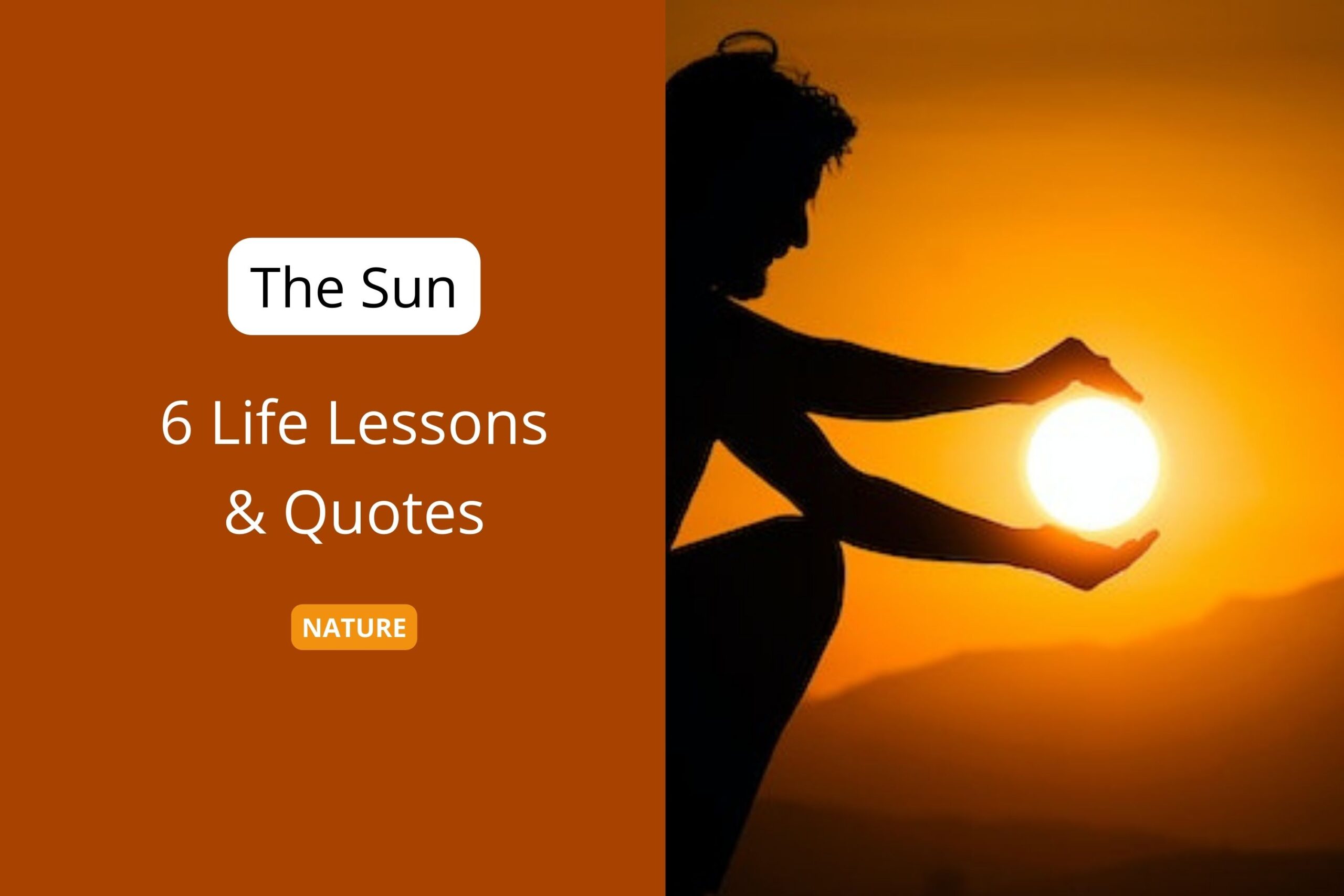 Life Lessons & Quotes We Can Learn from Sun